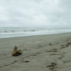 Shore In September #3