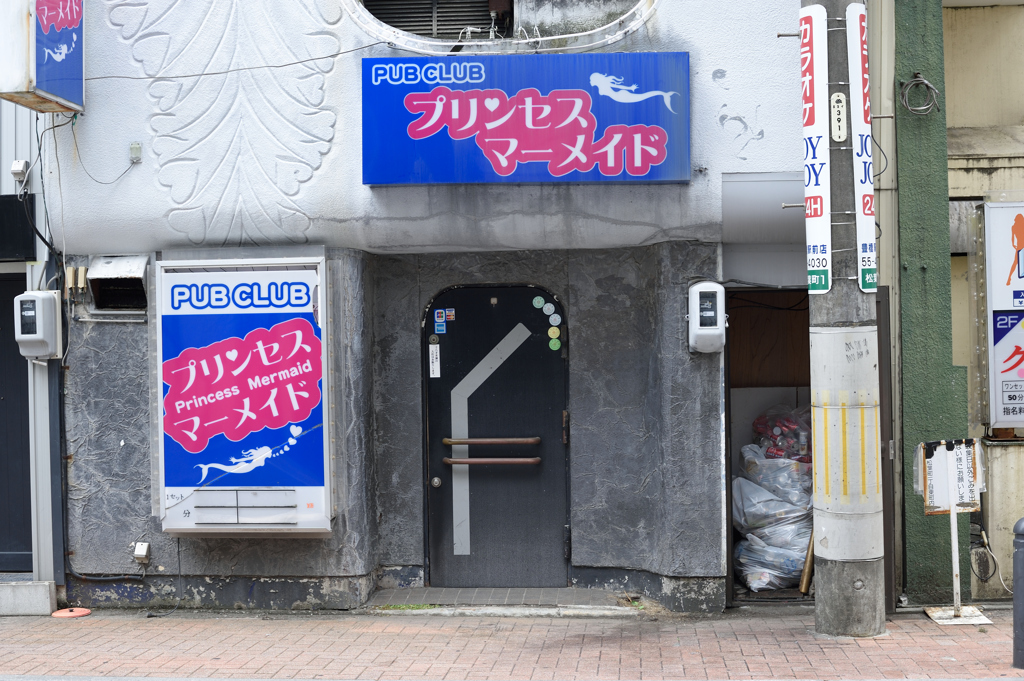 Toyohashi Snap #6