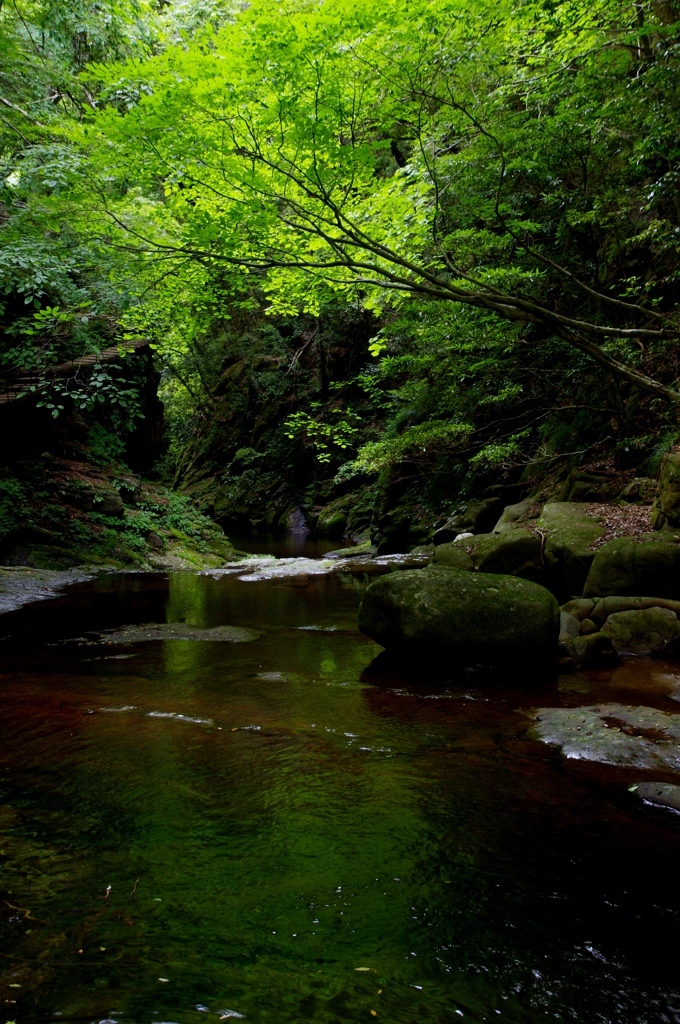 緑の滝