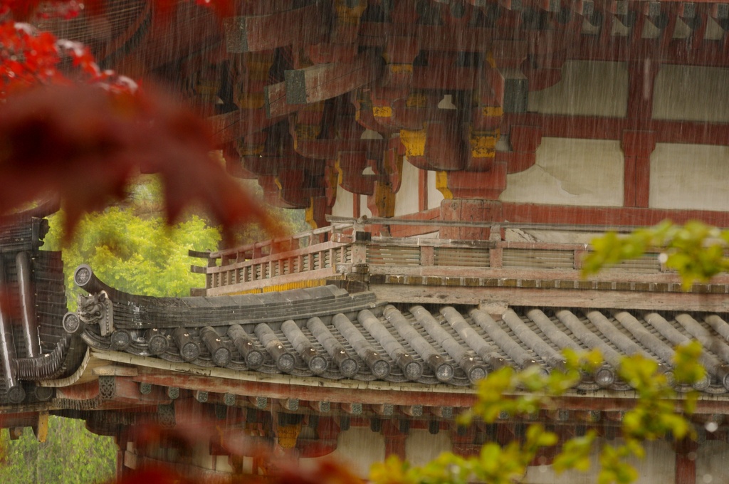 雨-鳳凰堂