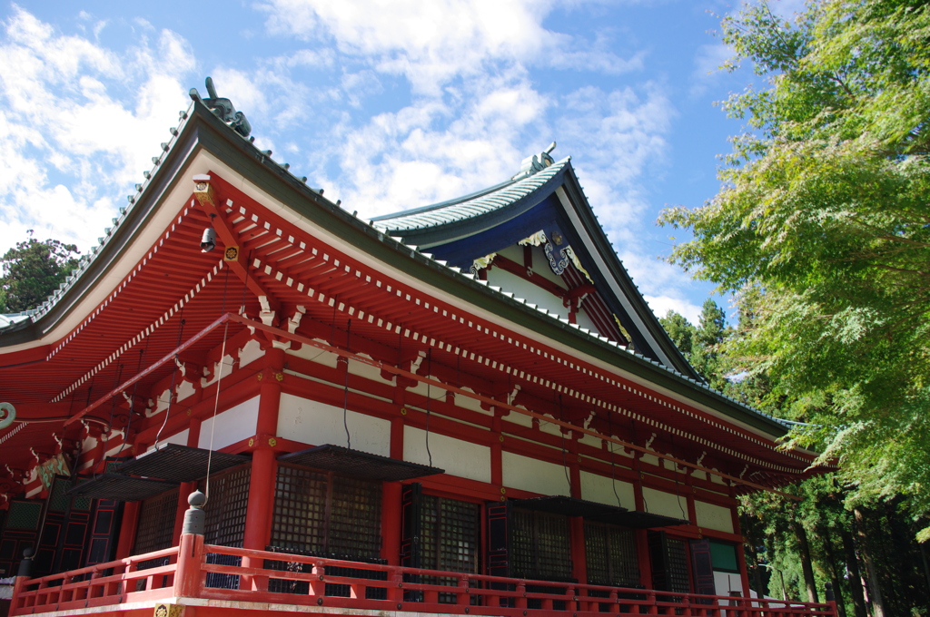 秋空仰いで