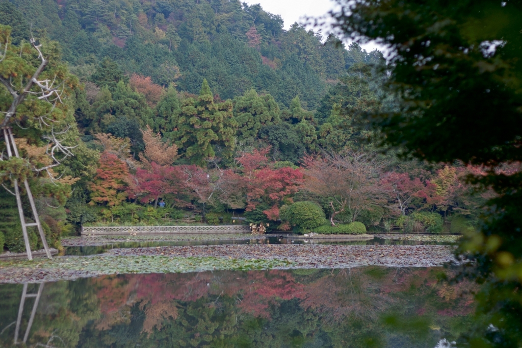 龍安寺　鏡容池