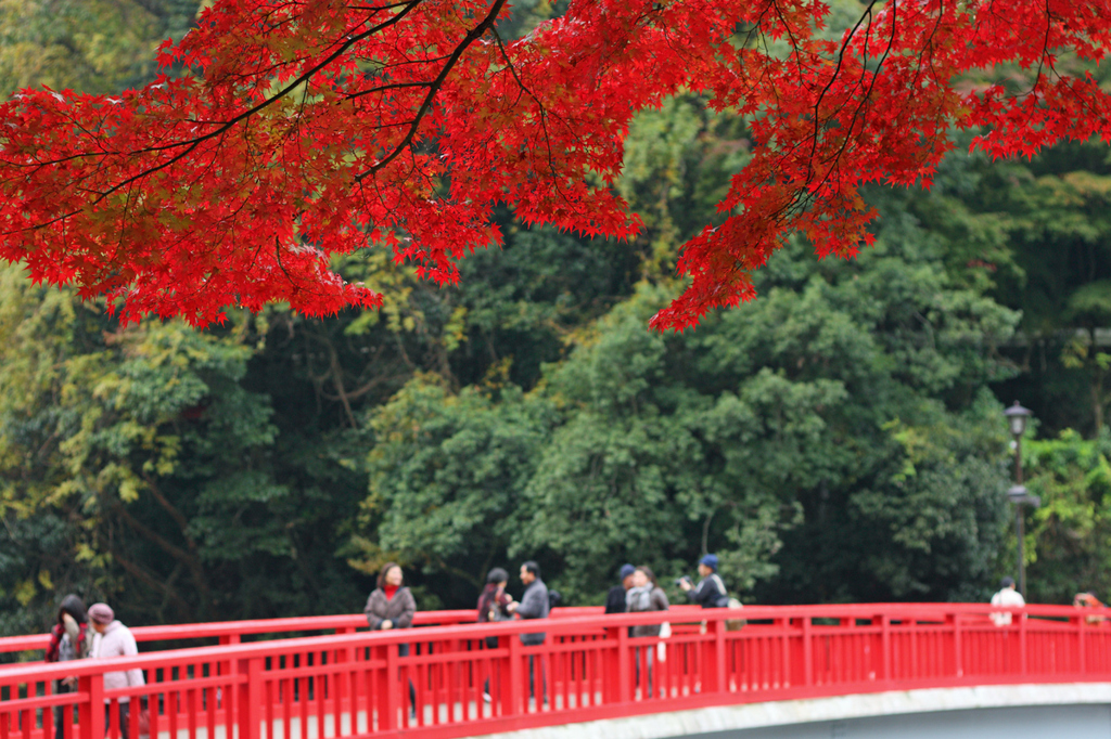 待月橋