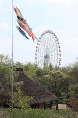 河川環境楽園　農家