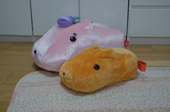 カピバラさん