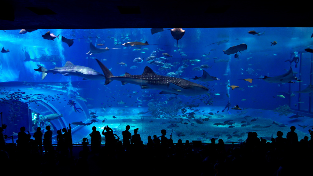 Sea theater