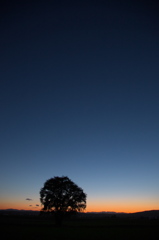 何でもない普通の日の夕美