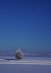 Merry Christmas from a moon