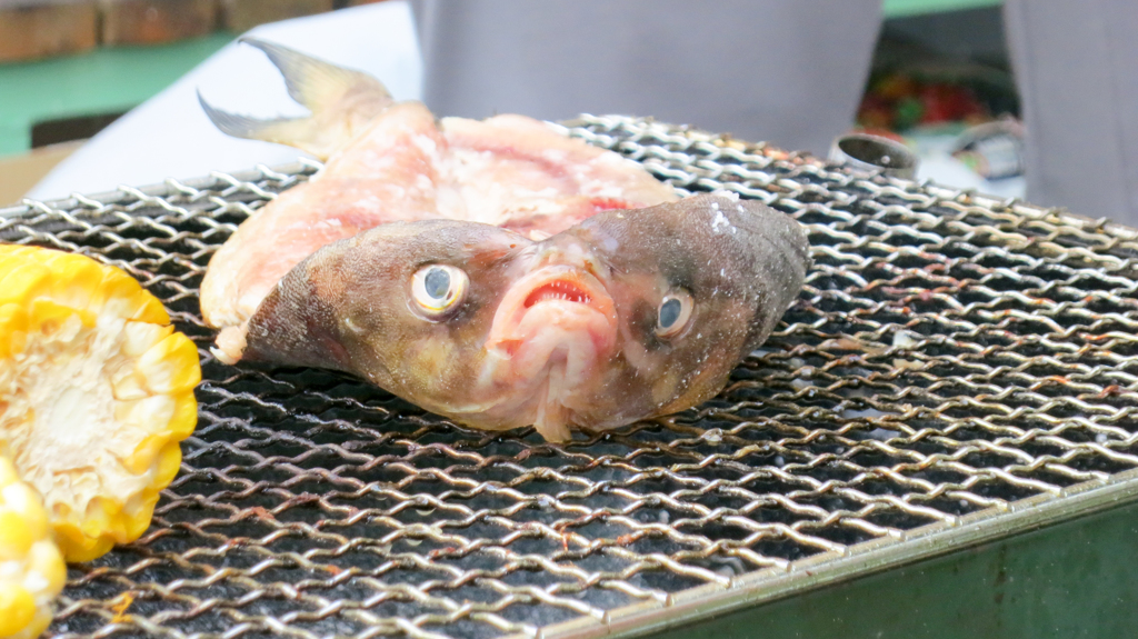 ホッケウラーJ9