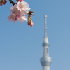 河畔にて