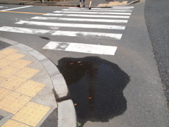 東京タワー三十六景　渡る脚