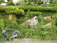 ぶらり途中激写の旅　鳴尾篇①