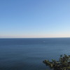 海は広し