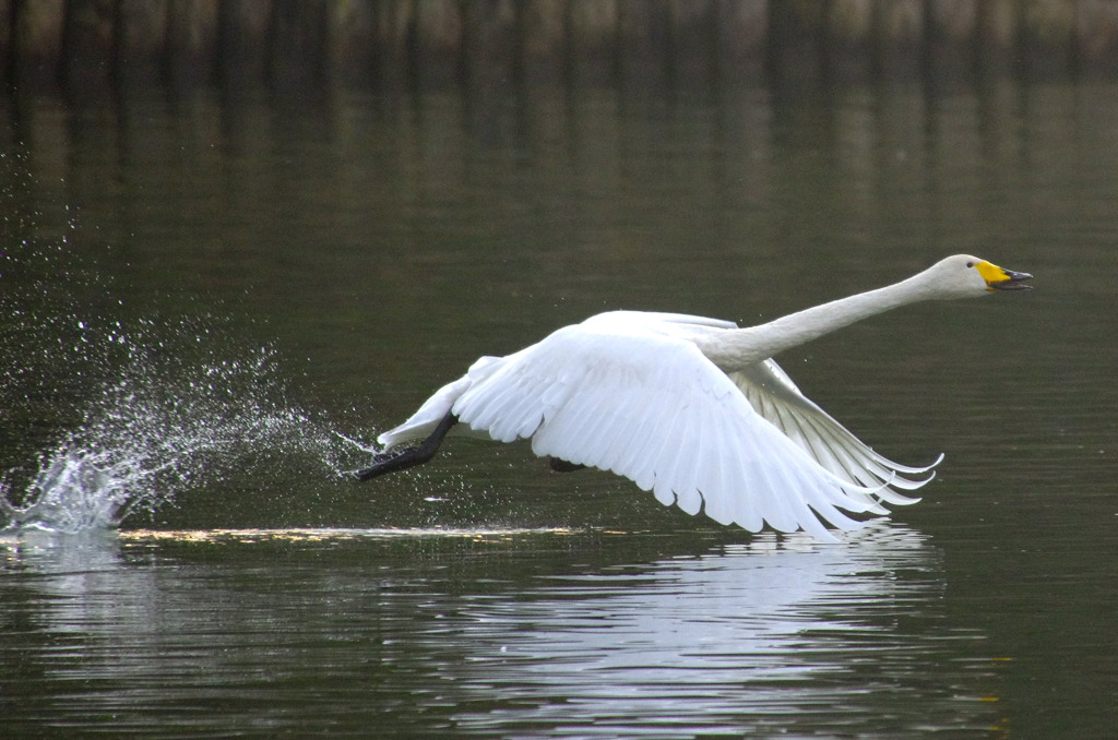 Take Off