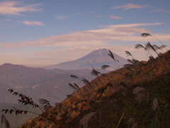 梅が島阿部峠紅葉ドライブ