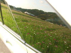 写り込む世界