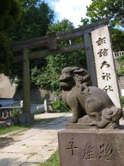 遠足カメラ横須賀どぶ板通り編