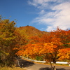 梅が島阿部峠紅葉ドライブ