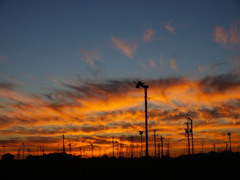 夕焼け200909174