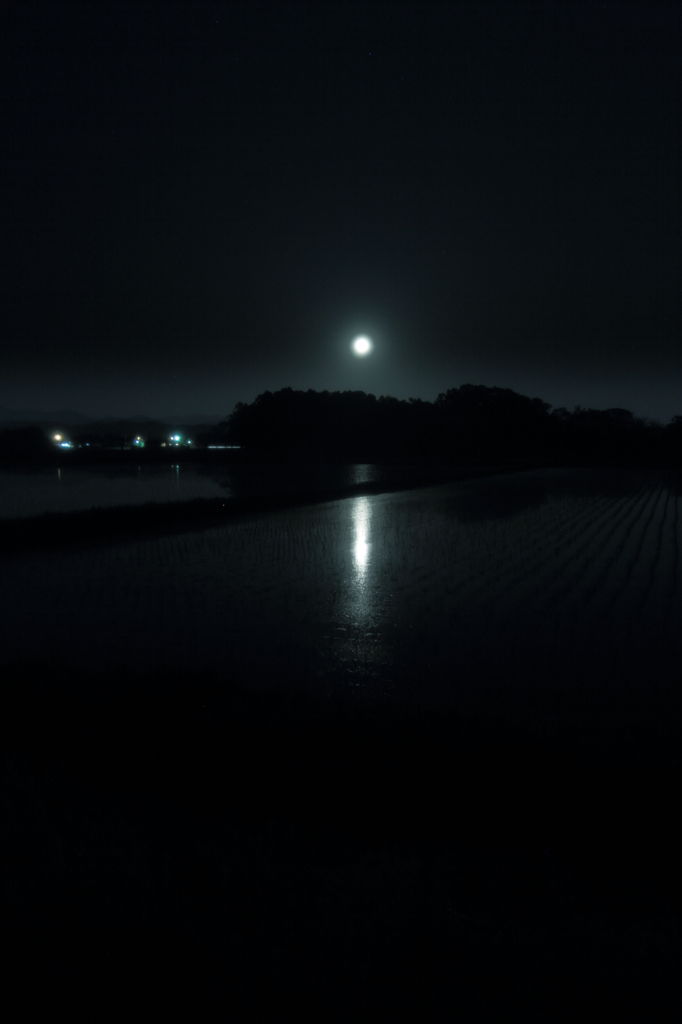 月夜