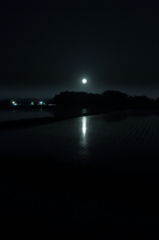 月夜