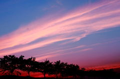 夕焼け