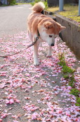 今年もよかったよ。