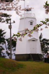 日和山公園さくらまつり