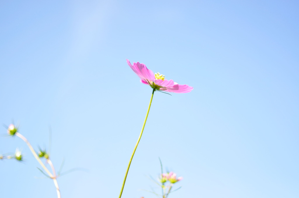 快晴のもとに