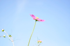 快晴のもとに