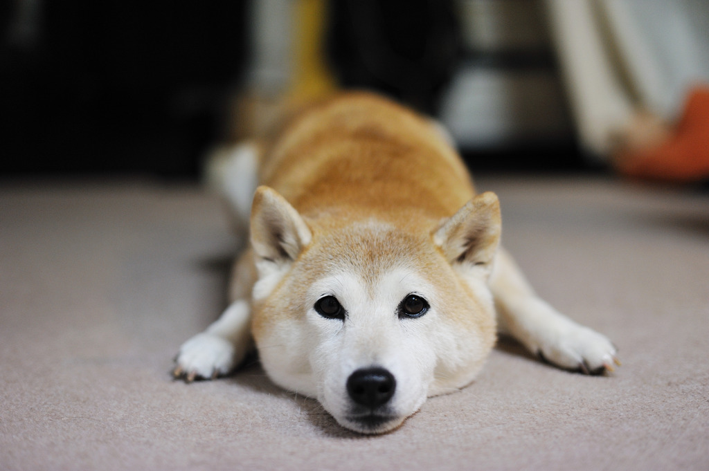 それうまいの？