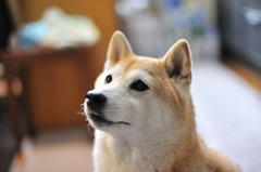 それは、残しといてね！
