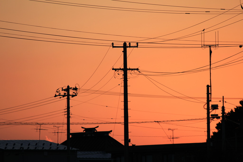 photo812771