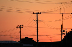 photo812771