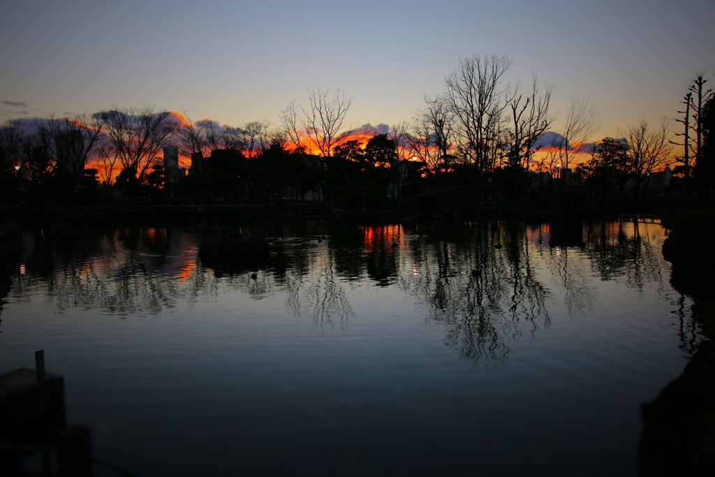 夕焼けの池