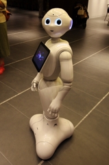 けっこうかわいい