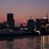東京タワー