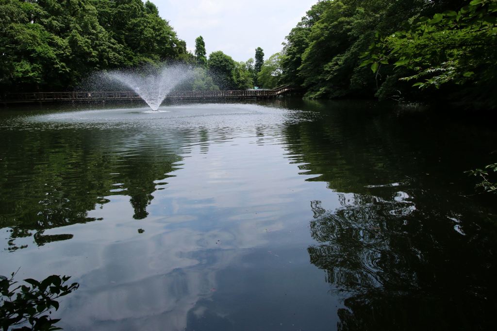 井之頭公園
