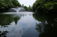 井之頭公園