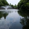 井之頭公園