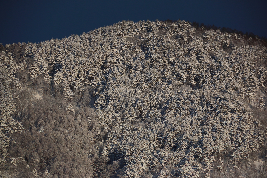 雪山
