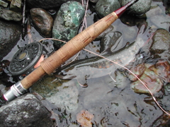 冷たい水の岩魚