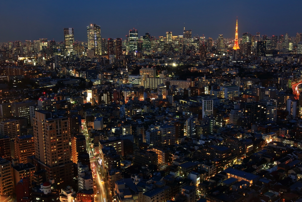 東京夜景眺望