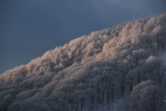 雪山