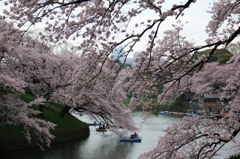 千鳥ヶ淵