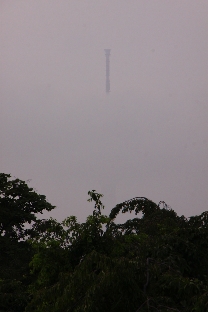 霧のスカイツリー
