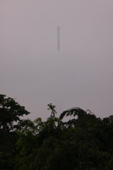 霧のスカイツリー