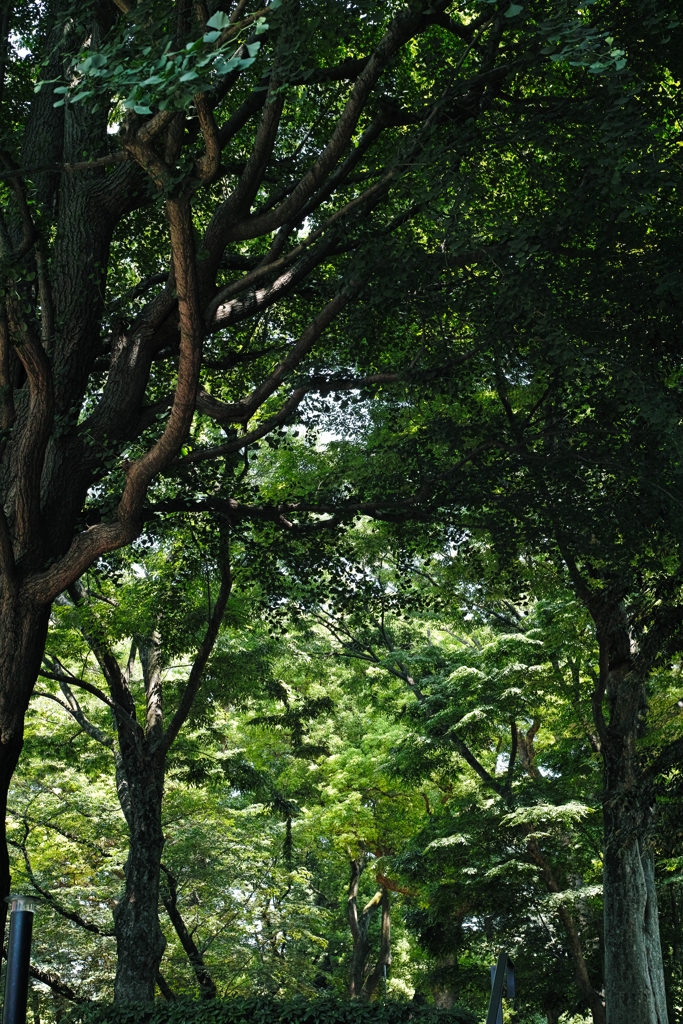 上野公園