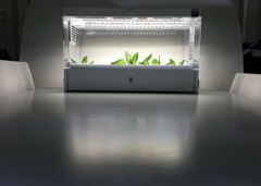 人口栽培