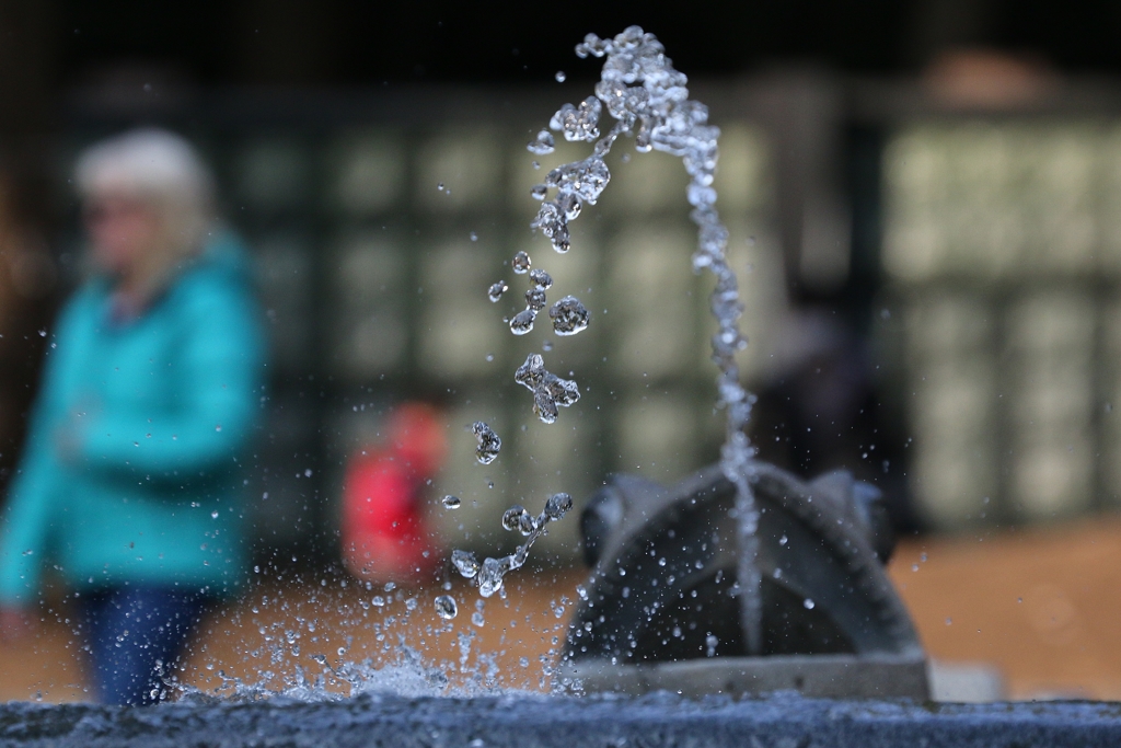 カエルの噴水